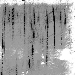 Similar image 894816