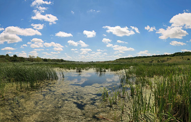 Similar image 894821