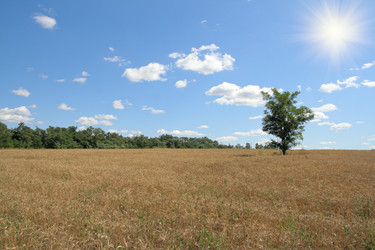 Similar image 894824