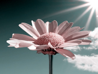 Similar image 894830