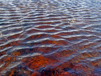 Similar image 894887