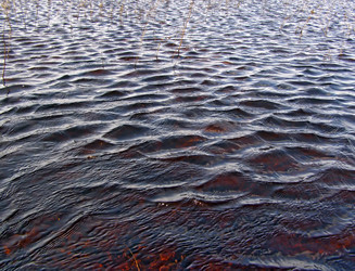 Similar image 894889