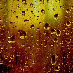 Similar image 894905