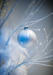 Similar image 895005