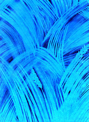 Similar image 895158