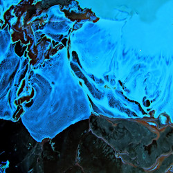 Similar image 895164