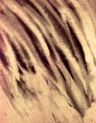 Similar image 895167