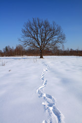 Similar image 895228