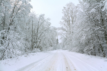 Similar image 895237