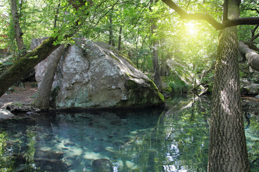 Similar image 895261