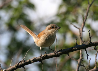 Similar image 895269