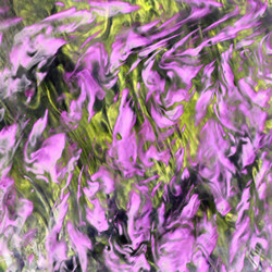 Similar image 895275