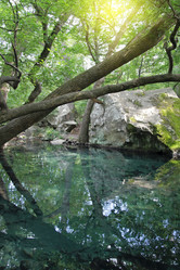 Similar image 895276