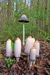 Similar image 895280