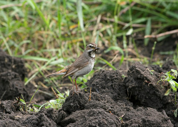 Similar image 895283