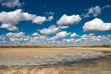 Similar image 895284