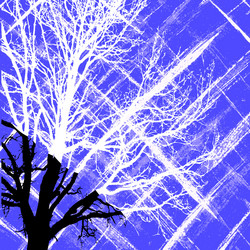 Similar image 895286