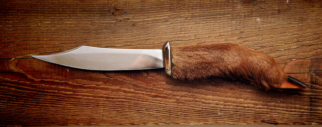 Similar image 895335