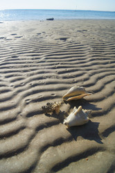 Similar image 895356