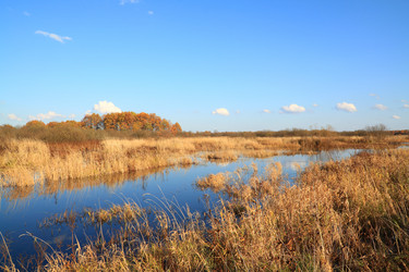 Similar image 895361