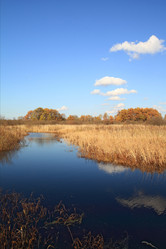 Similar image 895363