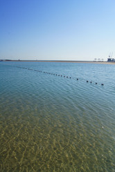 Similar image 895370