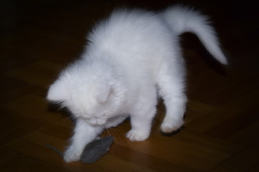 Similar image 895414