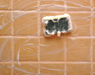 Similar image 895442