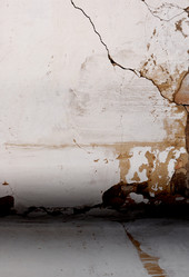 Similar image 895448