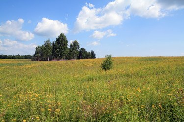 Similar image 895470