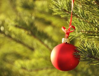 Similar image 895489