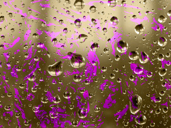 Similar image 895532