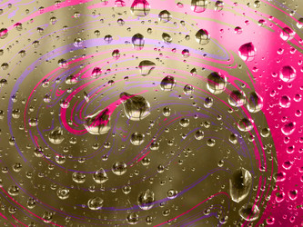 Similar image 895537