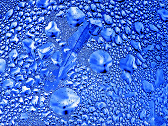 Similar image 895541