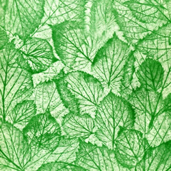 Similar image 895549