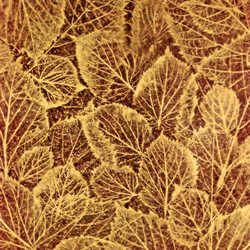 Similar image 895552