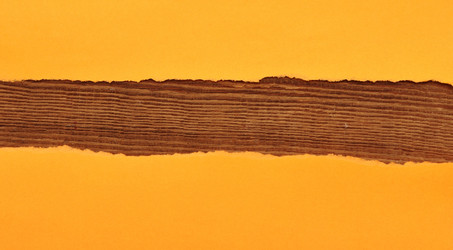 Similar image 895563