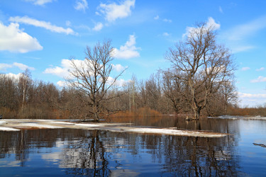 Similar image 895696