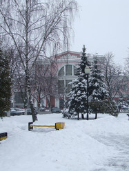 Similar image 895704