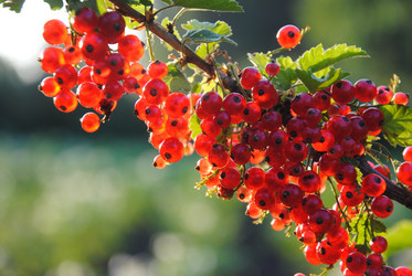 Similar image 895833