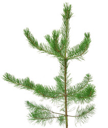 Similar image 895873