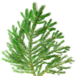 Similar image 895880