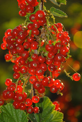 Similar image 895881