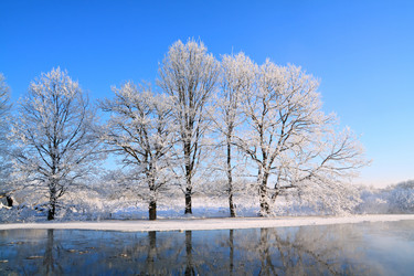 Similar image 896082