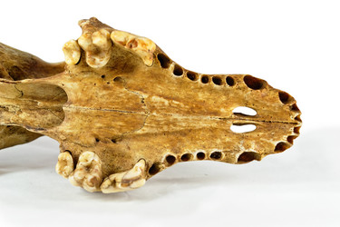 Similar image 896153