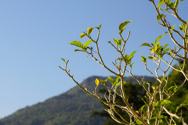 Similar image 896298