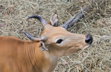 Similar image 896299