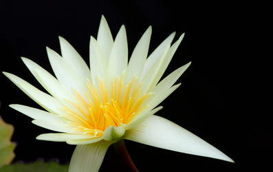 Similar image 896300