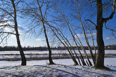 Similar image 896313