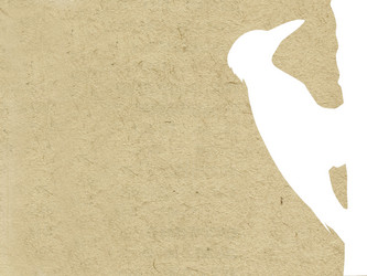 Similar image 896383